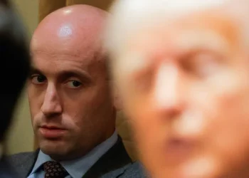 ‘Mob boss’ Stephen Miller has everyone at the White House answering to him: insider