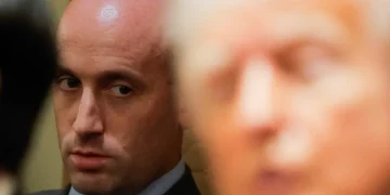 ‘Mob boss’ Stephen Miller has everyone at the White House answering to him: insider