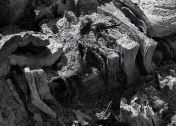 I Lost My Library in a Fire