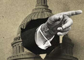 What Is the Point of Congress?