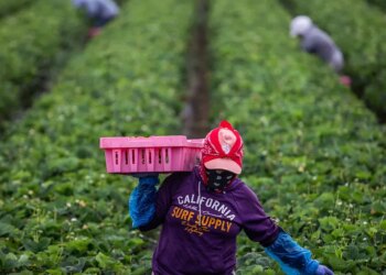 For Migrant Women, Sexual Violence Is Often the Hidden Cost of Work