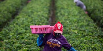 For Migrant Women, Sexual Violence Is Often the Hidden Cost of Work