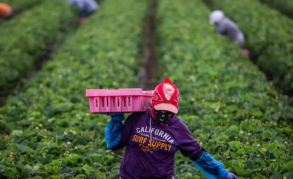 For Migrant Women, Sexual Violence Is Often the Hidden Cost of Work