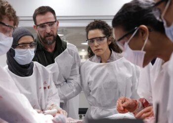 The Pitt Reclaims Patriotism in a Second Season That Surpasses the First