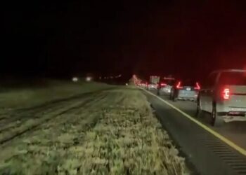 Tesla Fan Profusely Praises FSD For Veering His Car off the Side of the Highway