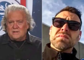 MAGA figures call for arrests of Democrats after ICE kills woman in Minneapolis