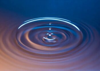 Why We Need Meditation in the AI Era