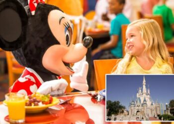 Disney quietly changes course on controversial meal plan changes