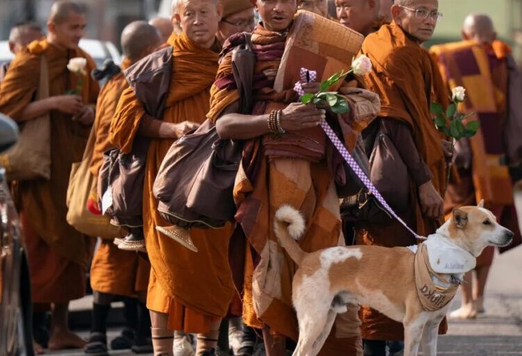Buddhist monks are walking barefoot from Texas to D.C. with their dog, drawing big crowds across the South