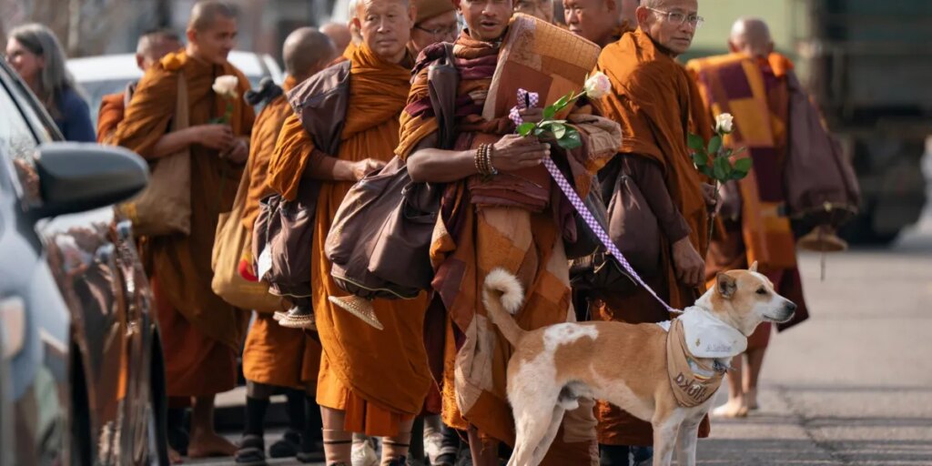 Buddhist monks are walking barefoot from Texas to D.C. with their dog, drawing big crowds across the South