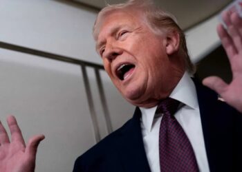 Trump gives garbled word salad when asked why ICE agent not arrested: ‘What knows means’