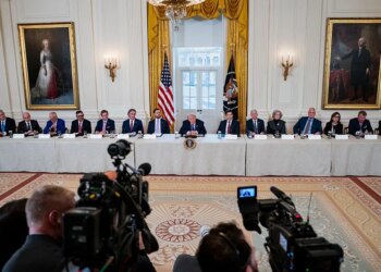 Democrats’ Chance to Defend Capitalism From Trump