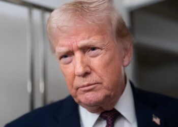 Trump’s ‘strange choice of words’ in rare interview unnerves author: ‘We’re in trouble’