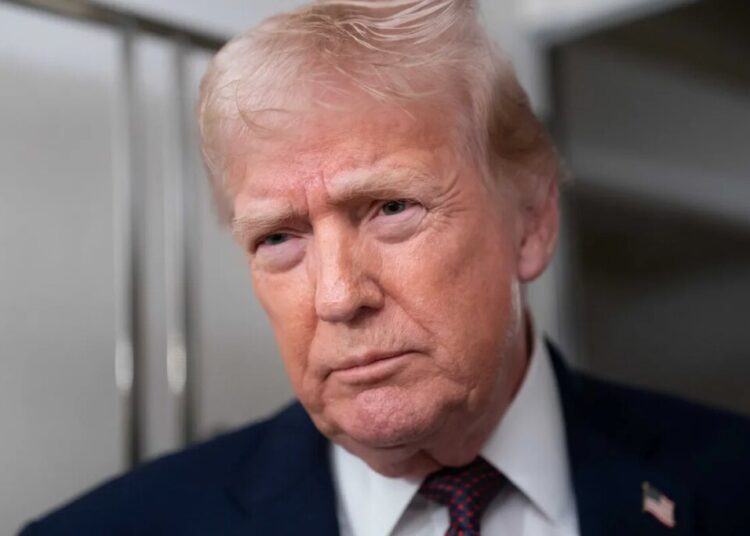 Trump’s ‘strange choice of words’ in rare interview unnerves author: ‘We’re in trouble’