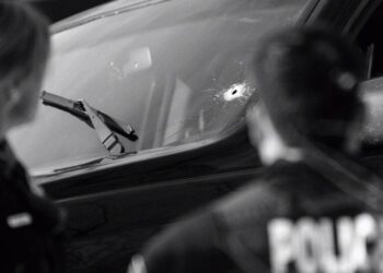 None of This Should have Happened