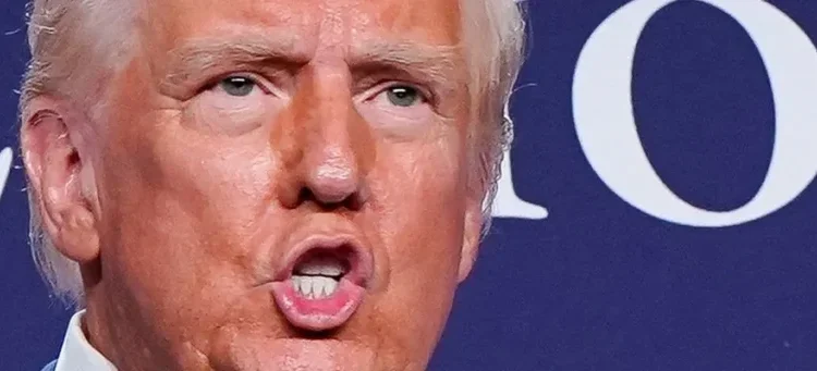 ‘Put your big boy pants on’: Ex-RNC chair tears into Trump after wild meltdown at heckler