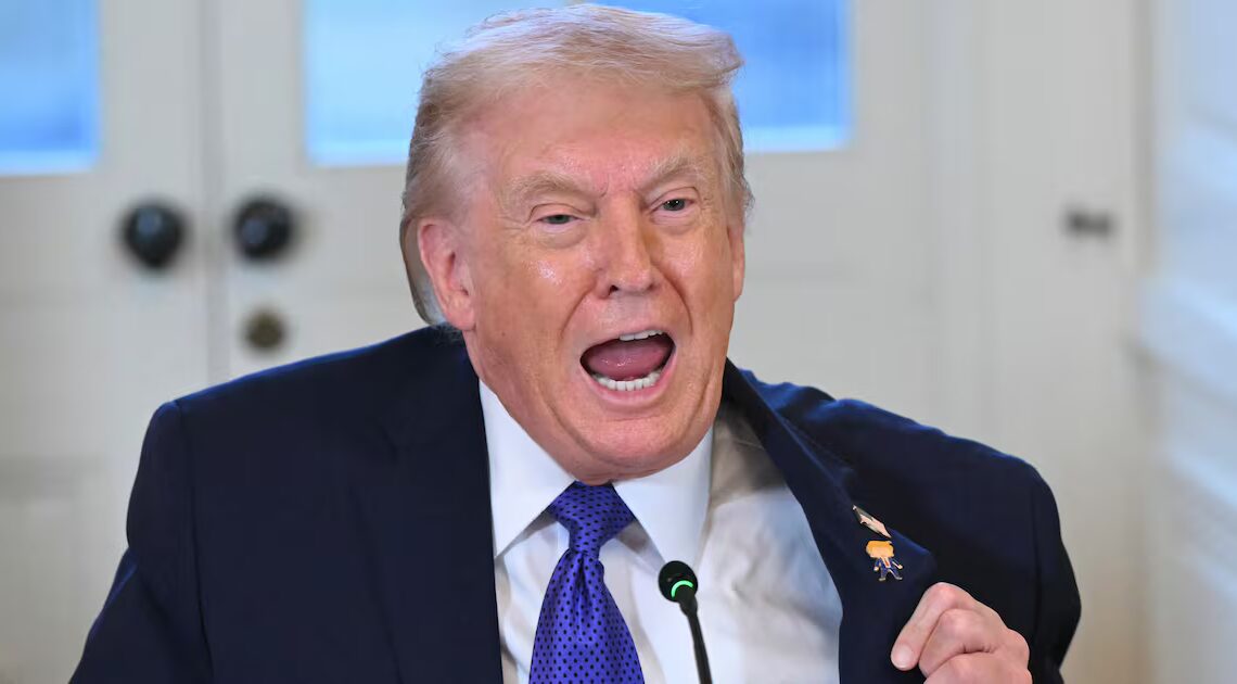 Trump Threatens Martial Law in Blue State in Wild Morning Rage Post