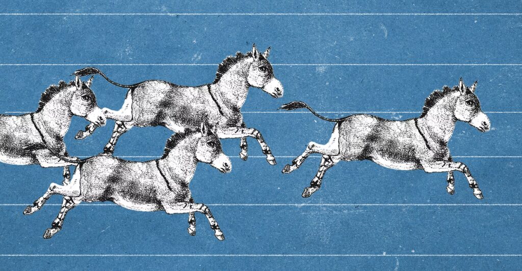 Democratic Bosses Are Launching a Remake of the 2028 Calendar