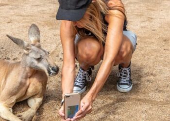 In the AI economy, the ‘weirdness premium’ will set you apart. Lean into it, says expert on tech change economics