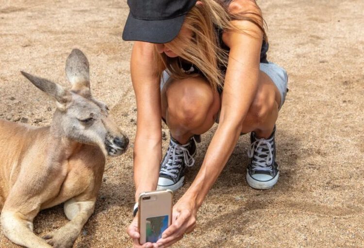 In the AI economy, the ‘weirdness premium’ will set you apart. Lean into it, says expert on tech change economics