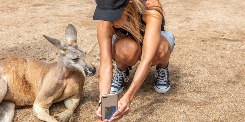 In the AI economy, the ‘weirdness premium’ will set you apart. Lean into it, says expert on tech change economics