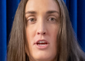 ‘Getting out while the getting’s good?’ Questions raised about ICE official’s exit