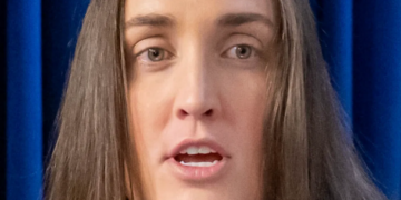 ‘Getting out while the getting’s good?’ Questions raised about ICE official’s exit