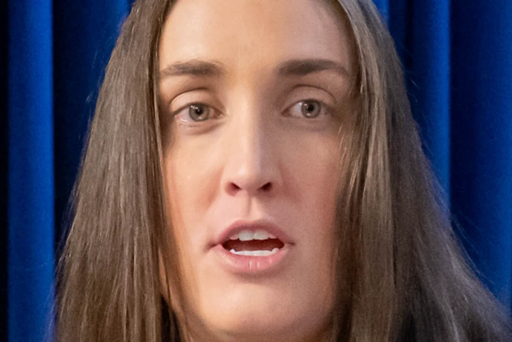 ‘Getting out while the getting’s good?’ Questions raised about ICE official’s exit