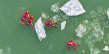 Photos of the Week: Icy Dip, Resting Goose, Campaign Bear