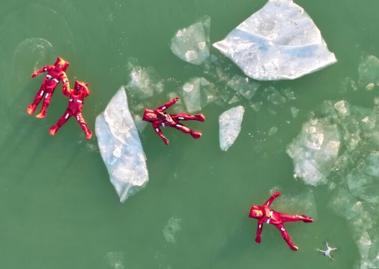 Photos of the Week: Icy Dip, Resting Goose, Campaign Bear