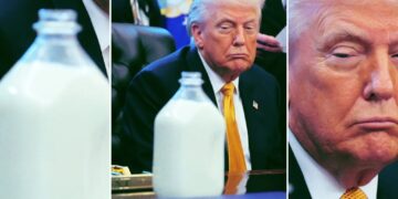 Doctor Says Trump Appears to Have Suffered a Stroke