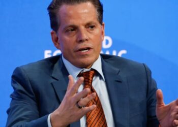 Anthony Scaramucci thinks Trump’s ‘hard-left’ move to cap credit-card fees is because he’s ‘texting back and forth with Mayor Mamdani’