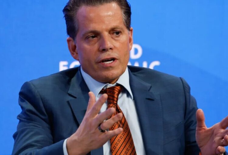 Anthony Scaramucci thinks Trump’s ‘hard-left’ move to cap credit-card fees is because he’s ‘texting back and forth with Mayor Mamdani’