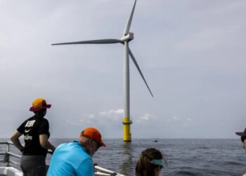 Dominion Energy wins bid to resume wind project Trump halted