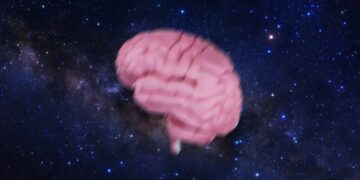 Astronauts’ Brains Are Being Displaced