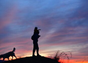 The Surprising Relationship Between Happiness and Intelligence