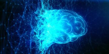 Scientists Preparing to Simulate Human Brain on Supercomputer