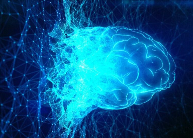 Scientists Preparing to Simulate Human Brain on Supercomputer