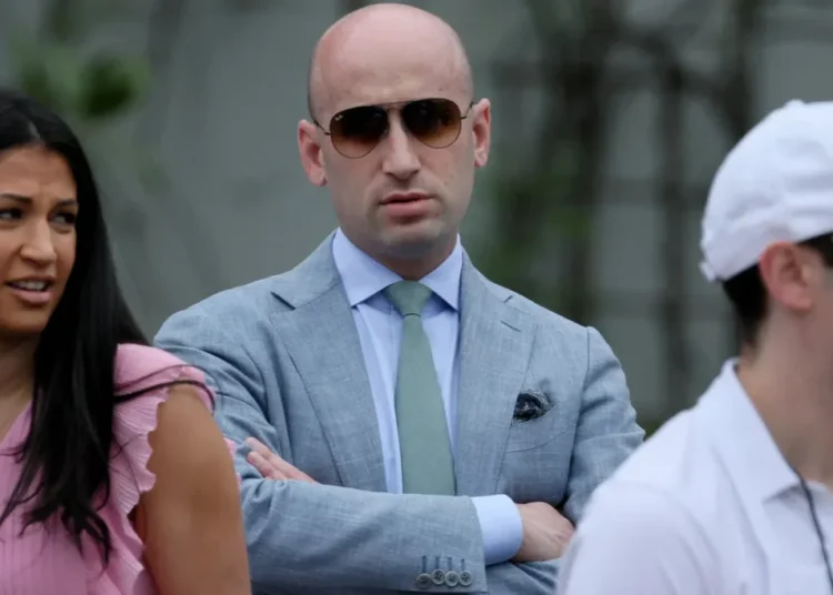 Stephen Miller ridiculed after his ‘moronic’ comment seen as permission to ‘beat him up’