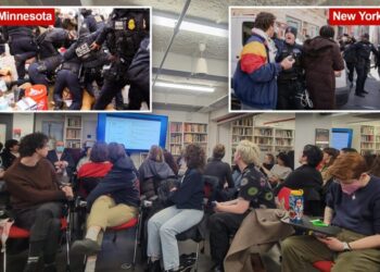 NYC socialists mustering army of 4,000 anti-ICE activists to bring Minnesota tactics to Big Apple