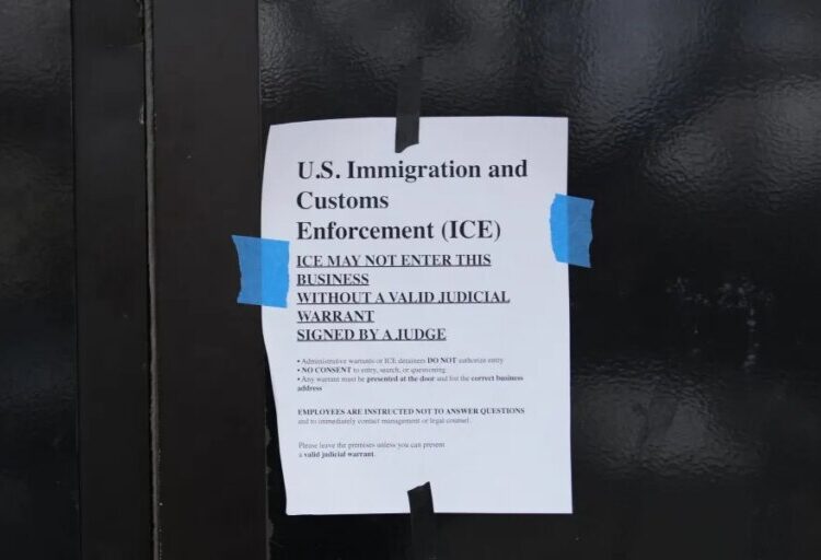 ‘We believe in Allah, but we can’t do anything’: Somali shops reel in Minneapolis because ICE is bad for business