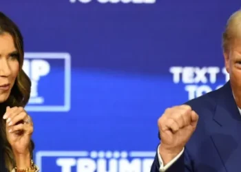 Trump agency’s ‘gross distortion’ of law reveals a ‘hidden agenda’ for ICE: legal expert