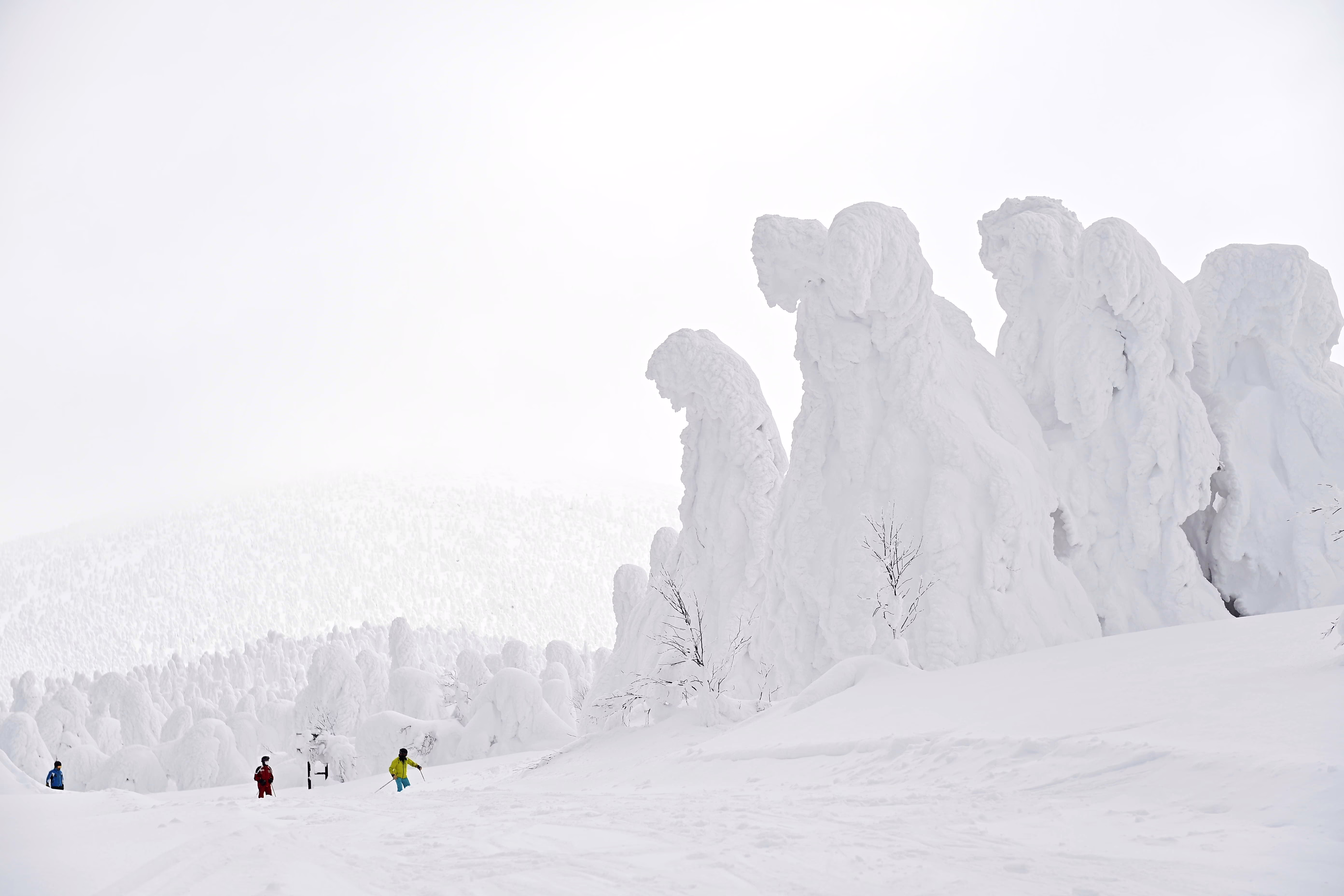People walk near trees covered in thick snow and ice.