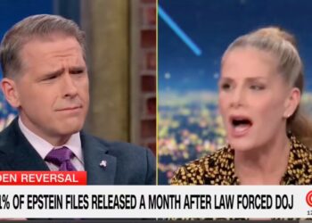 CNN Guest Goes Nuclear on MAGA Pundit Over ‘Horrifying’ Epstein Take