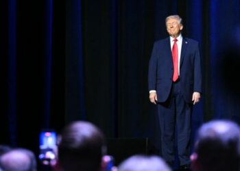 Wall Street is once again banking on the TACO trade because they’ve been ‘burned’ by believing Trump before