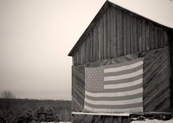 American Democracy Is Showing Signs of Life