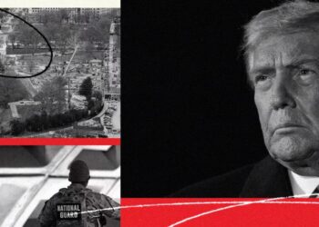 How to Tell If Your President Is a Dictator