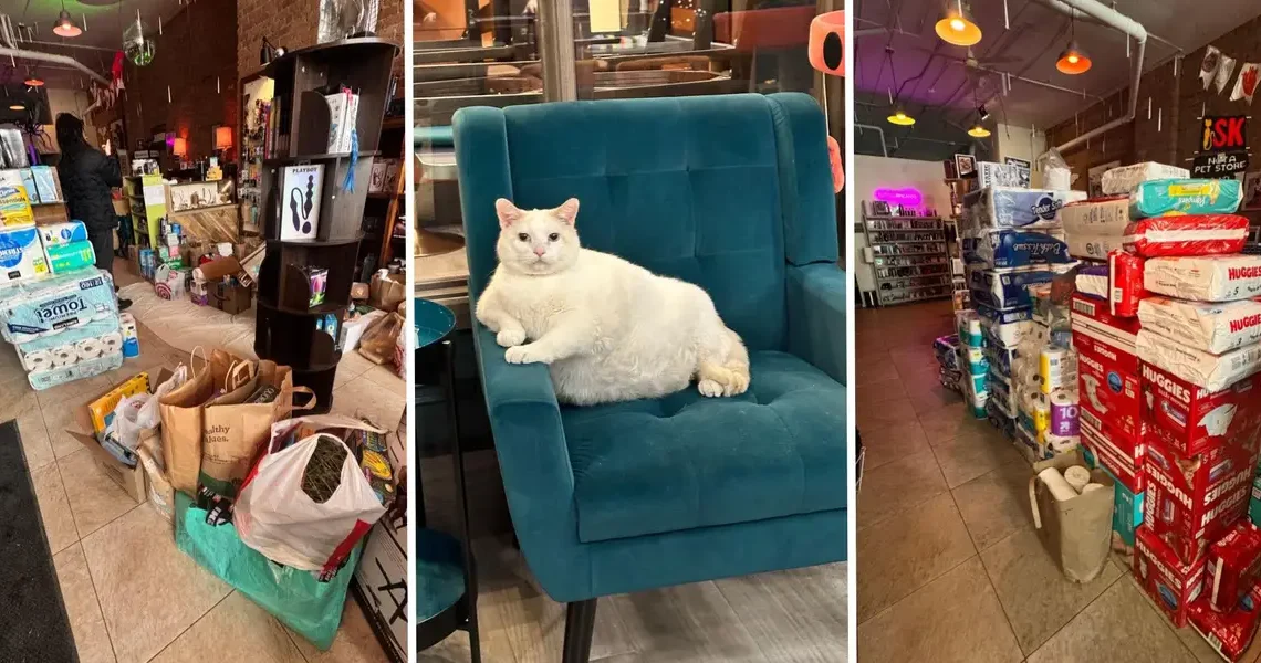 How ICE chaos and a boycott plan are turning Minnesota retailers into community spaces