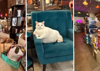 How ICE chaos and a boycott plan are turning Minnesota retailers into community spaces