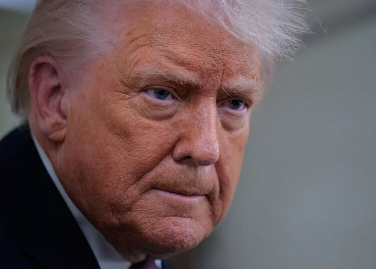 Trump Suggests Invoking Article 5 to Get NATO to Help With U.S. Border